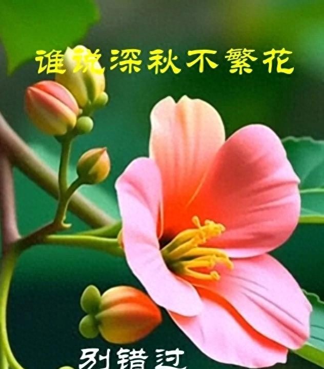 美股震荡反复，多空对决无声，缺口玄机待解。-微七七资讯