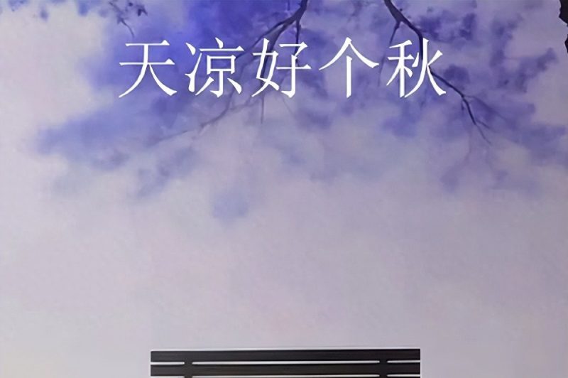 AI概念股暴跌，华尔街大空头掀牌桌，科技投资还能靠啥吃饭？-微七七资讯