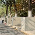 西安树池大变身！直角改圆角获赞，施工员却吐槽：地下有管廊，好看难两全-微七七资讯