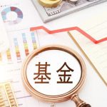 11.13小高百万基金买了什么,卖了哪只基金?-微七七资讯