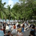 东北人逃离三亚的真实原因，三亚生活成本太高了？-微七七资讯